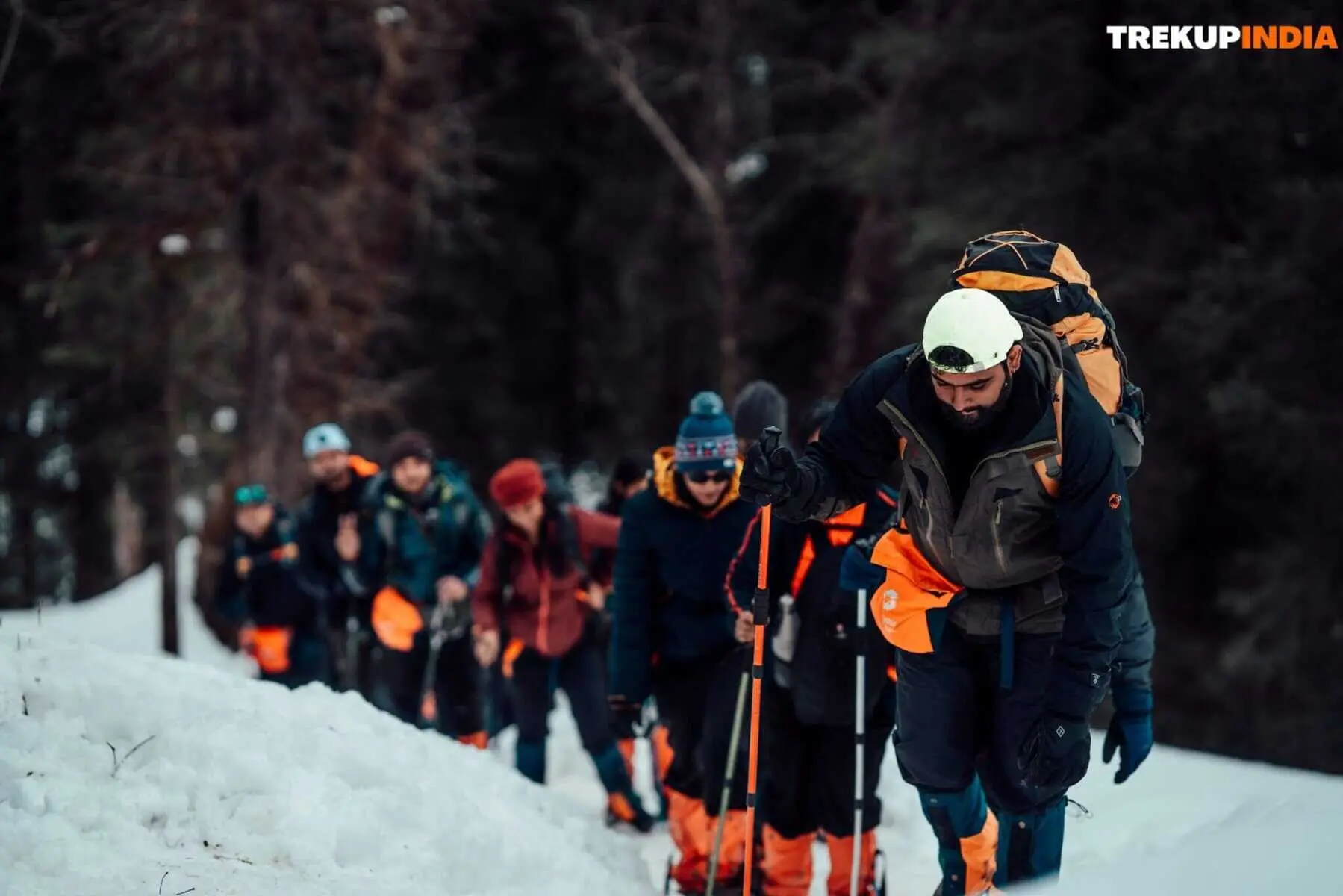 trekup-india-trekkers-en-route-to-kedarkantha-base-camp-lohasu-scaled-1.webp