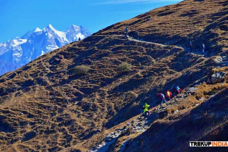 Trekking Destinations in the Himalayas to explore in 2025 1 phulara ridge trek