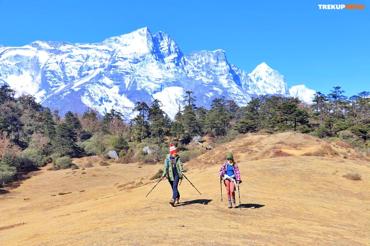 Trek from Pangpoche – Trek to Namche , everest base camp trek