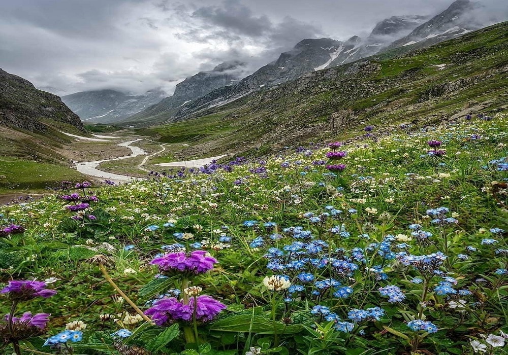 Hampta Pass the Valley of Flowers in Himachal Pradesh