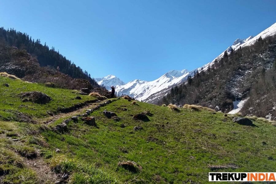 bali pass trek