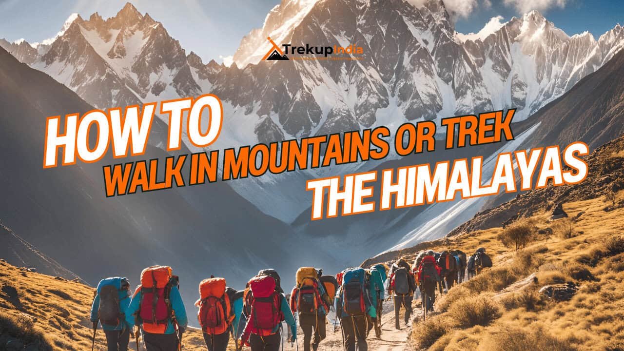 Connecting with Locals: Respectful Cultural Interactions 13 How To Walk In Mountains Or How To Trek In The Himalayas - Trekup India