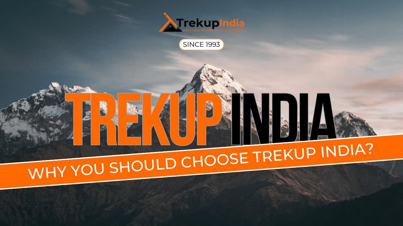 why trekup india