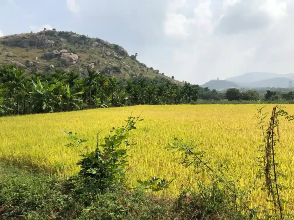 Trekking Places Near Bangalore 3 Trekking Places Near Bangalore
