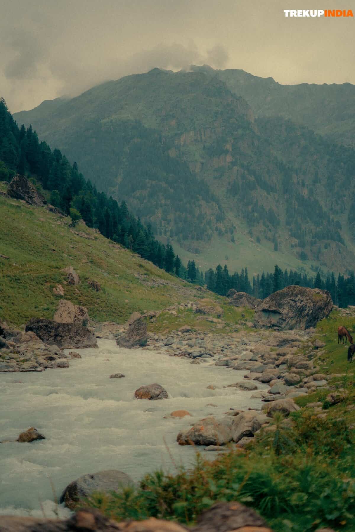 Tarsar Marsar Trek Difficulty: Expert Insights & Tips 4 Tarsar Marsar Trek Difficulty: Expert Insights & Tips