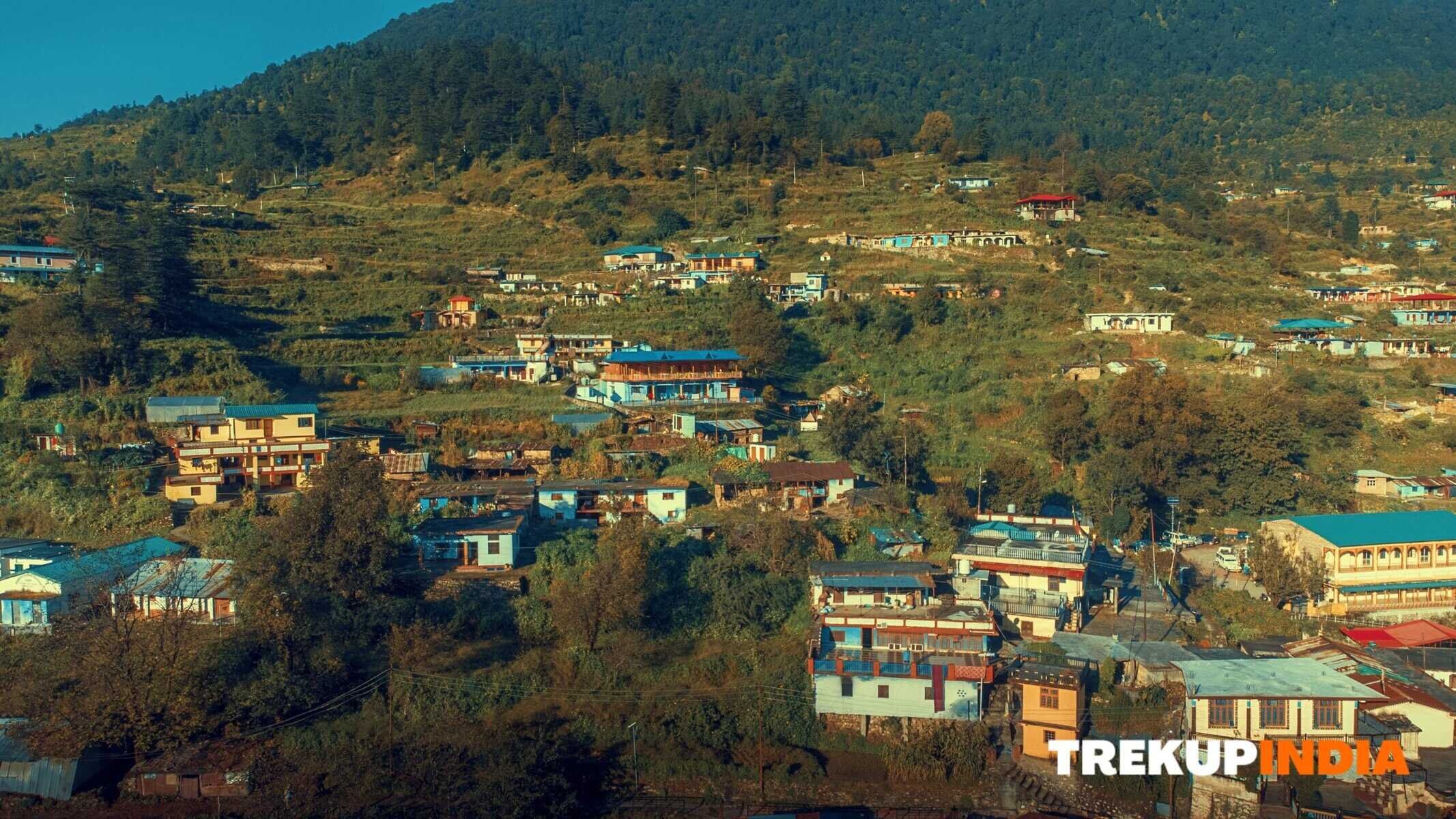 Dayara Bugyal Trek – A Lush Alpine Meadow Adventure 3 dayara bugyal trek