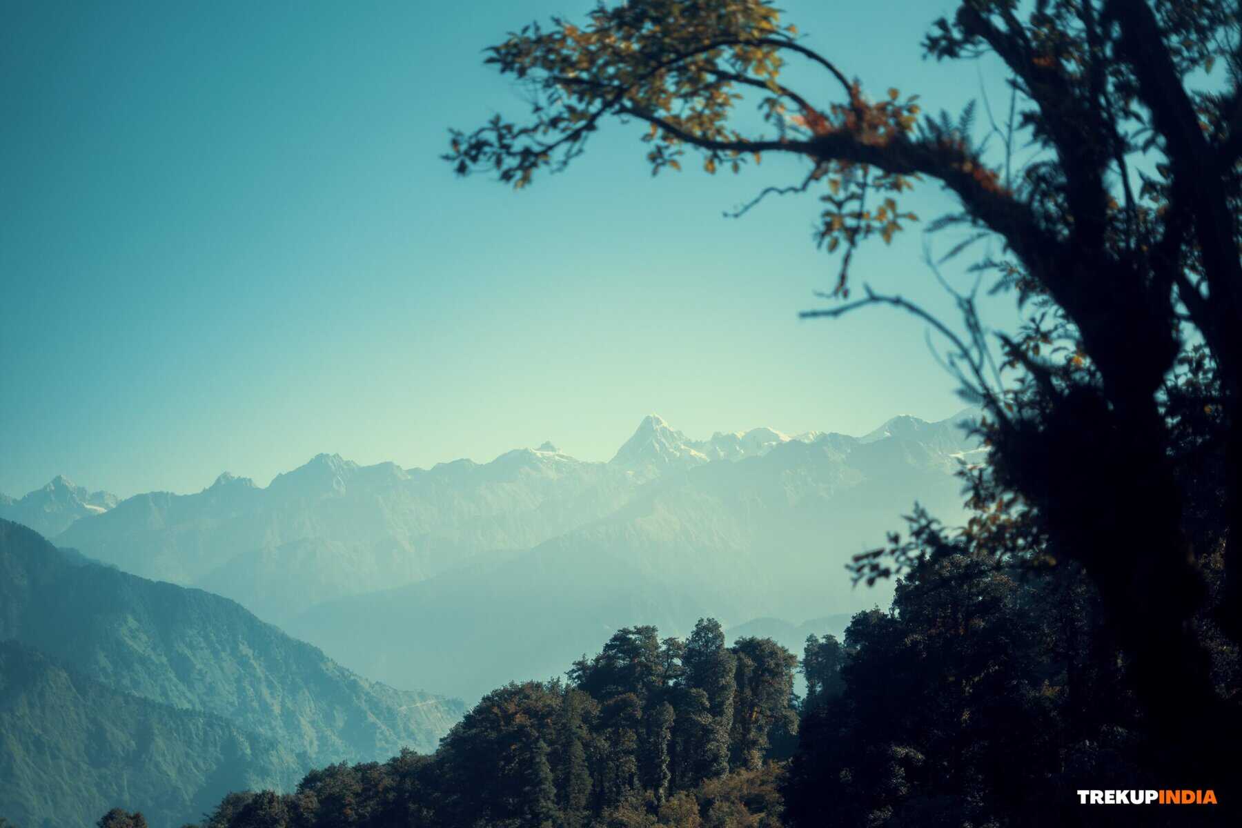 Dayara Bugyal Trek – A Lush Alpine Meadow Adventure 1 a lush alpine meadow adventure