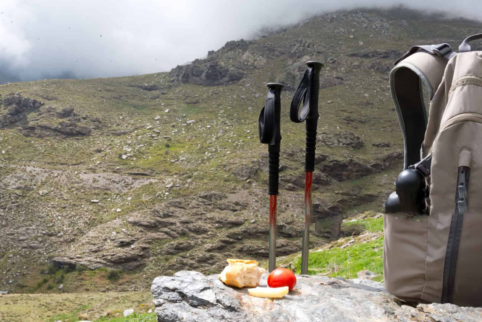 snacks trek