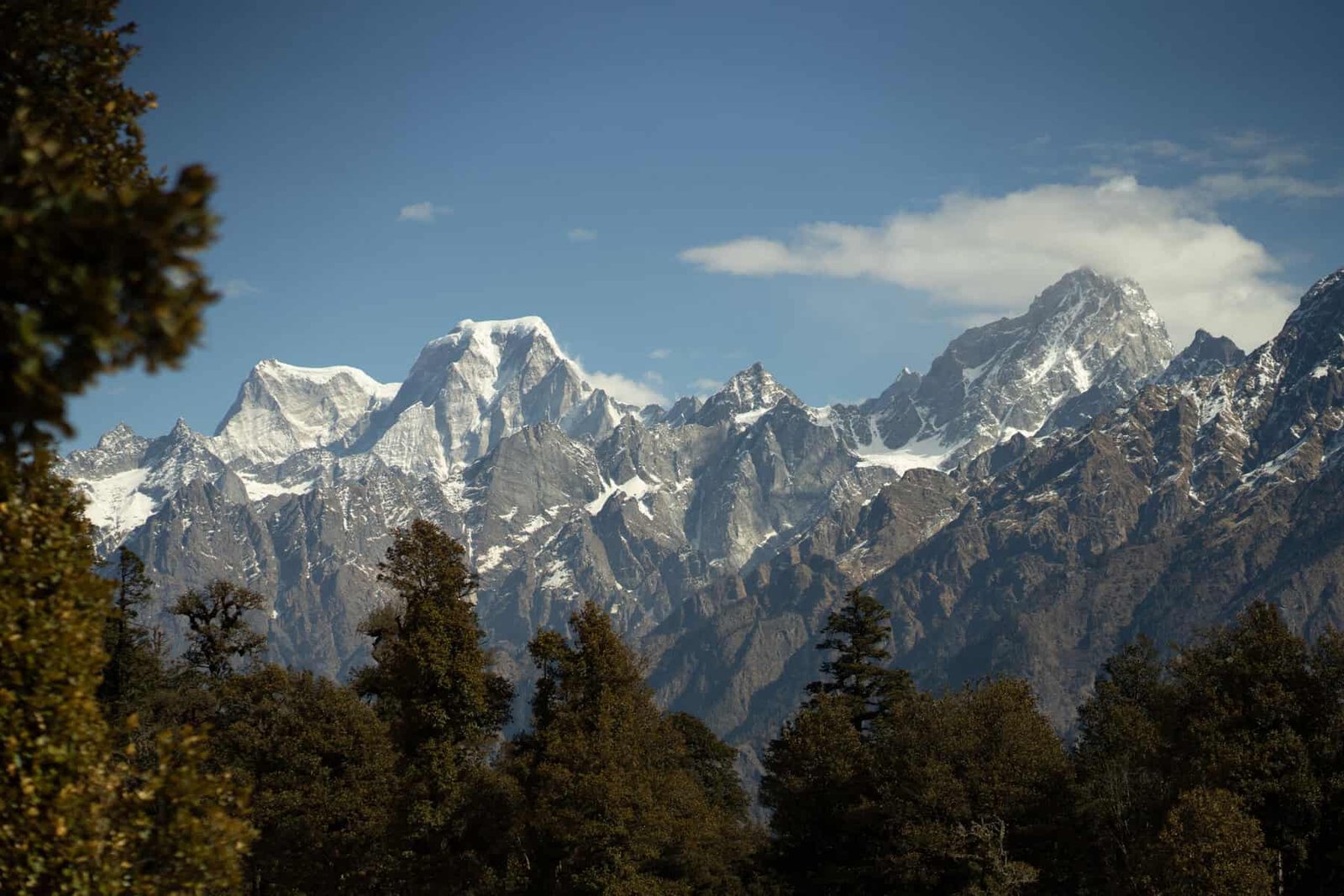 Dayara Bugyal Trek