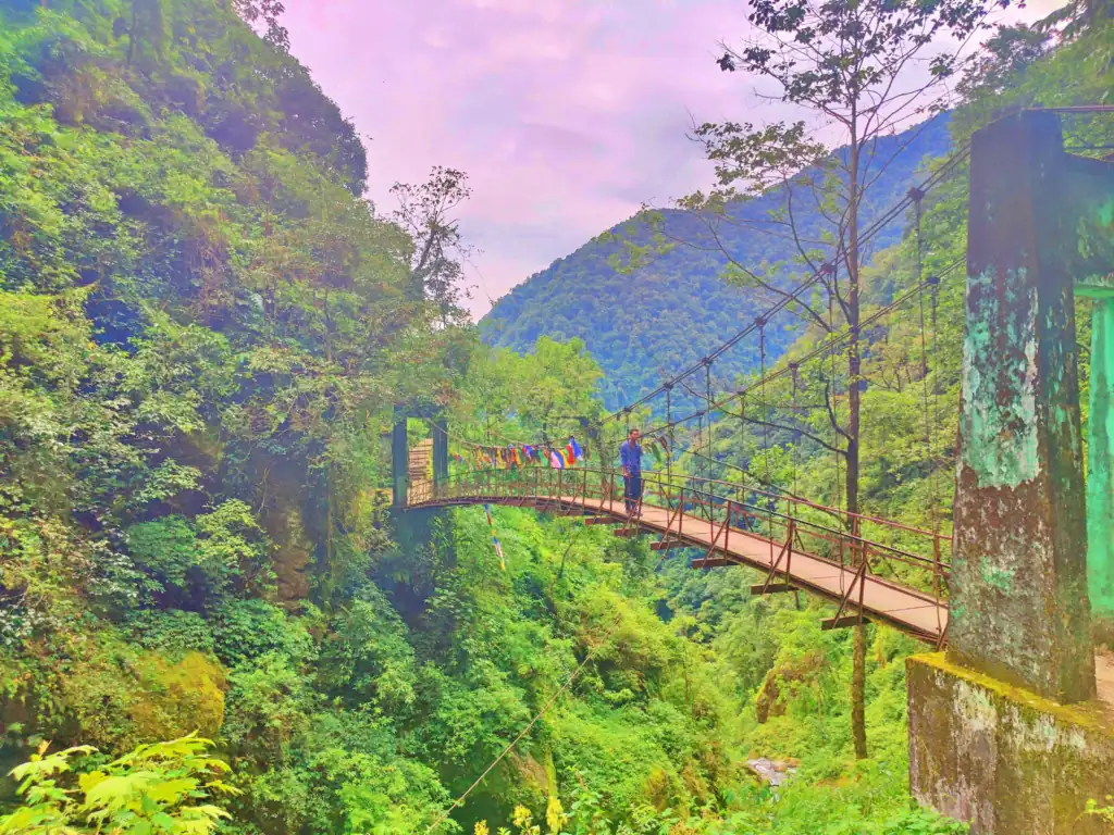 Goechala Trek