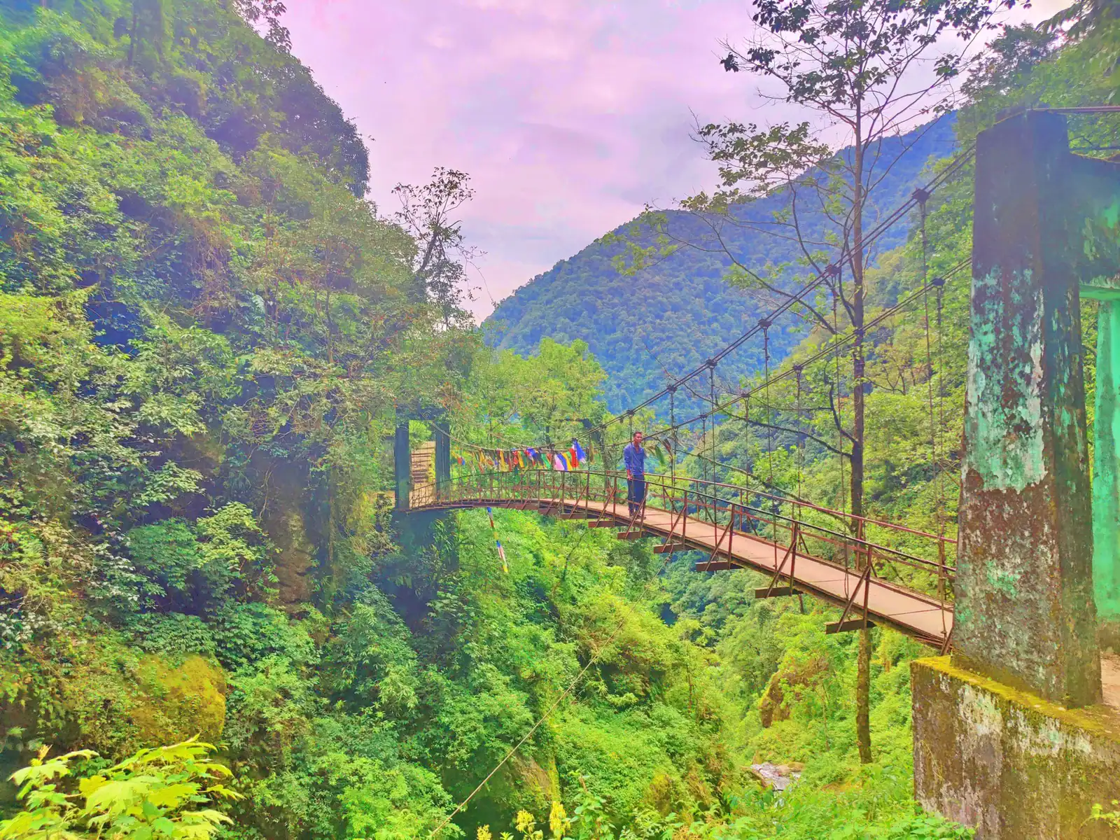 Goechala Trek